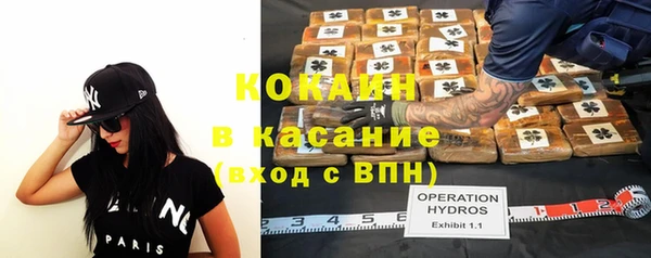 прущие грибы Армянск