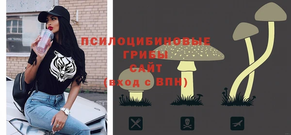стафф Арсеньев