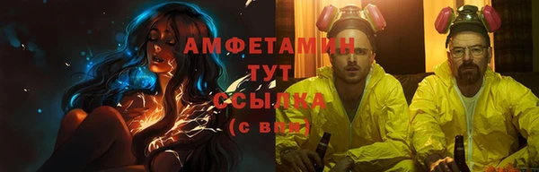 прущие грибы Армянск