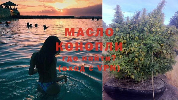 прущие грибы Армянск