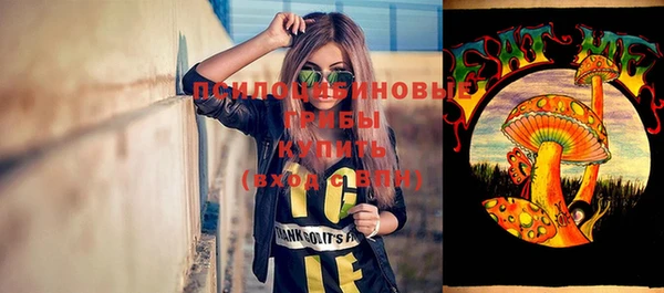 a pvp Бородино