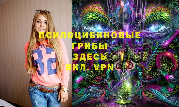 дмт Магас