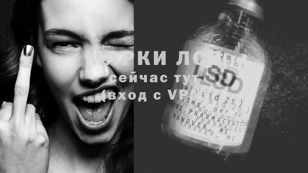 стафф Арсеньев