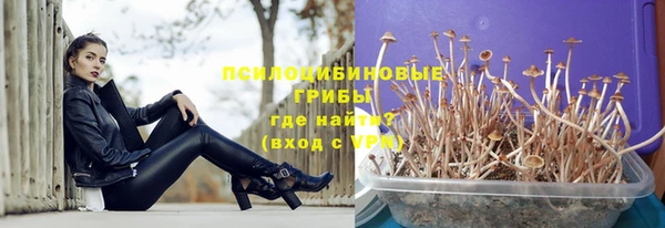 тгк Аркадак